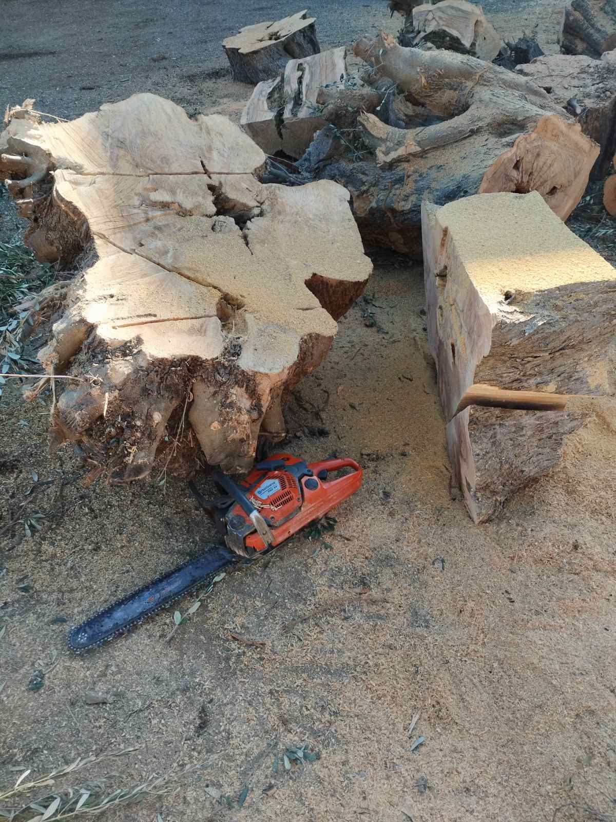 Προετοιμασμένα ξύλα για θέρμανση