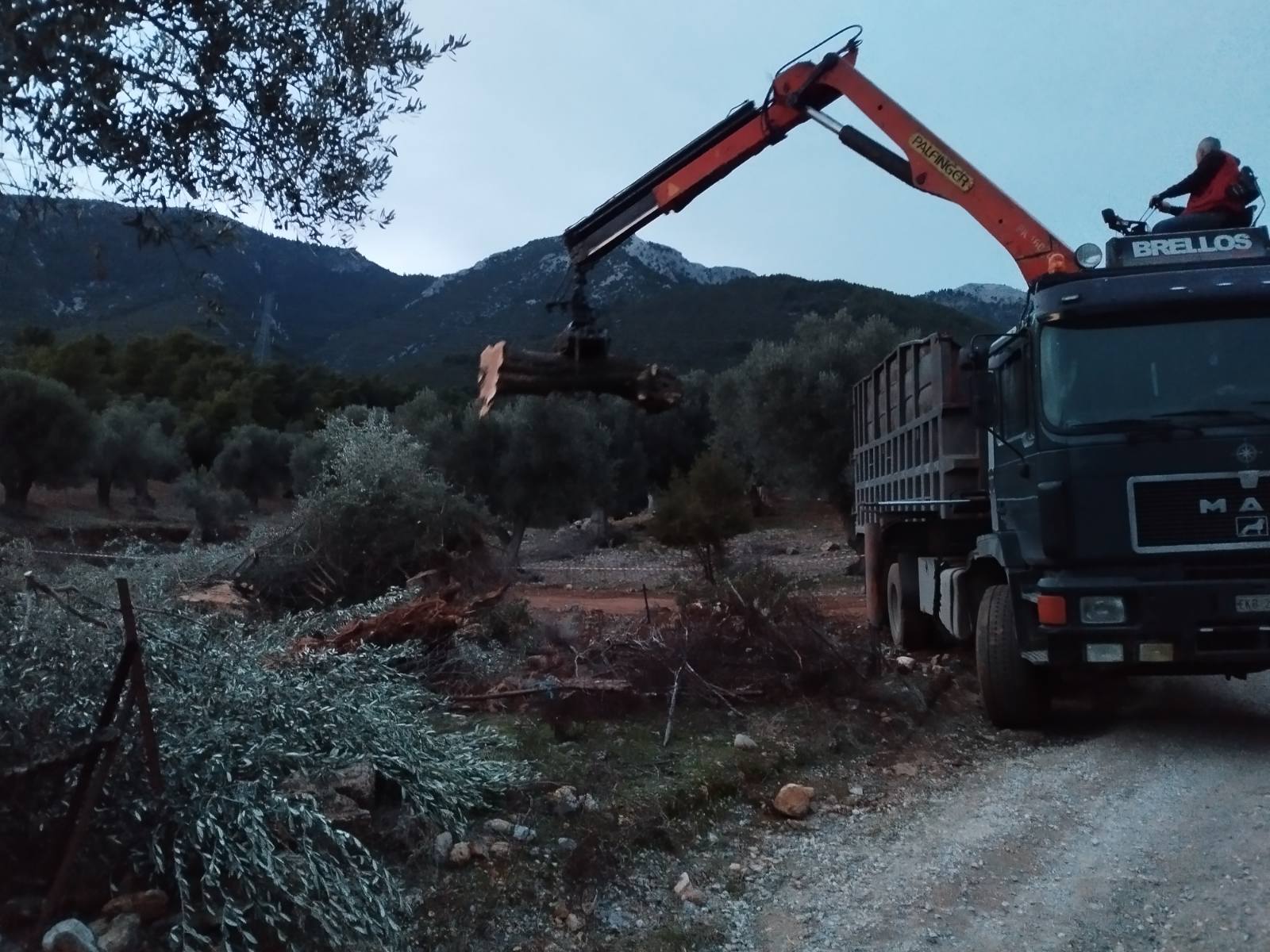Φορτηγό με γερανό κατά τη φόρτωση ξύλων
