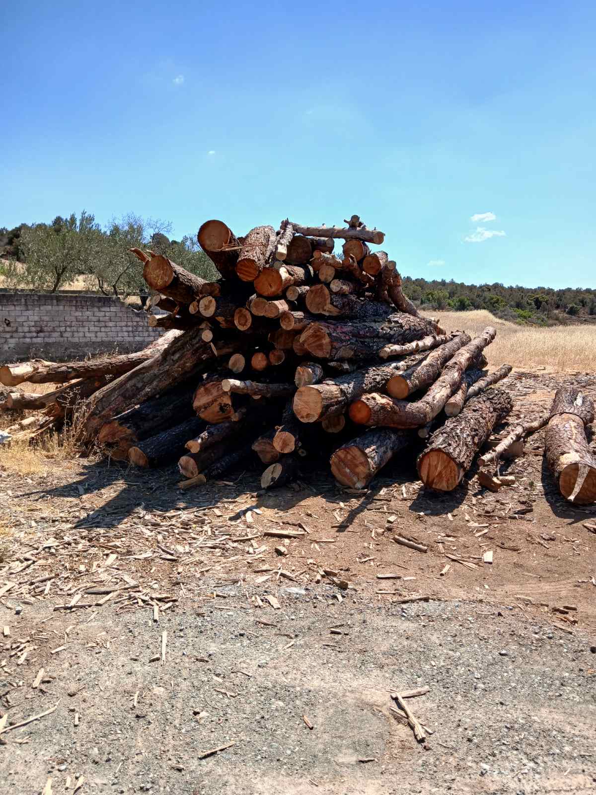 Κάθετη λήψη από καυσόξυλα