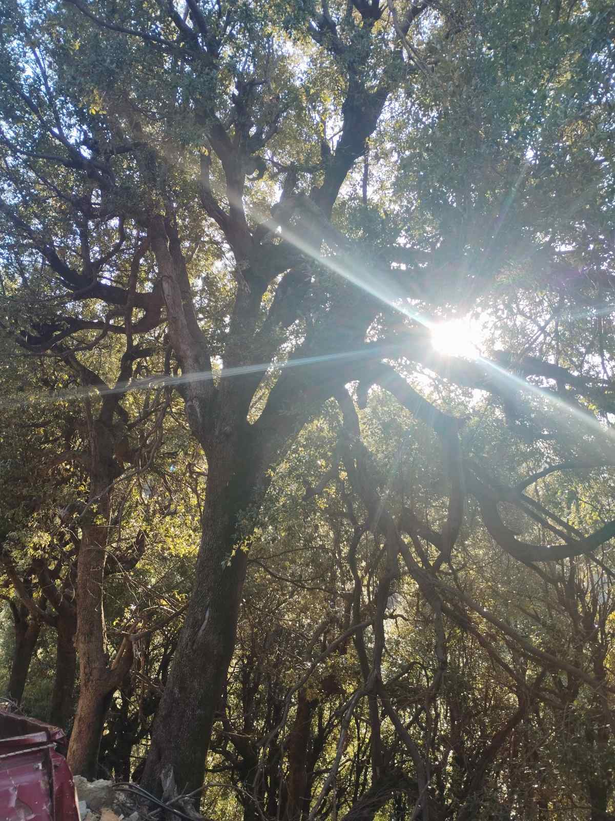 Ποσότητα ξύλων για θέρμανση